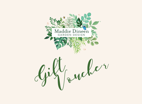 Maddie Dineen Consultation Gift Voucher